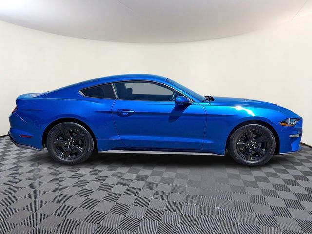 FordMustang7