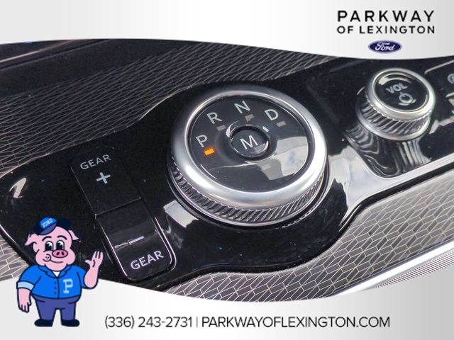 New 2026 White Ford Platinum image 25