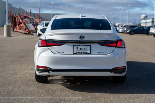 2025 Lexus ES 300h 6