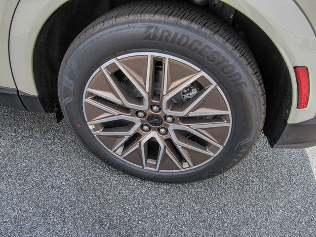 2025 Ford Mustang Mach-E Premium:167496