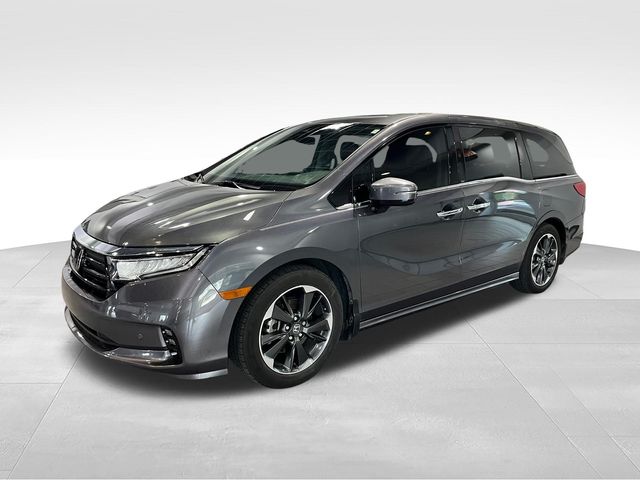 2024 Honda Odyssey Elite Gray at Stokes Honda North