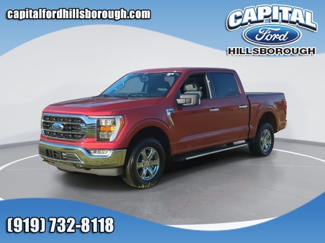 Chili Pepper Red 2023 Ford F-150 Pickup Truck Four-Wheel Drive Automatic