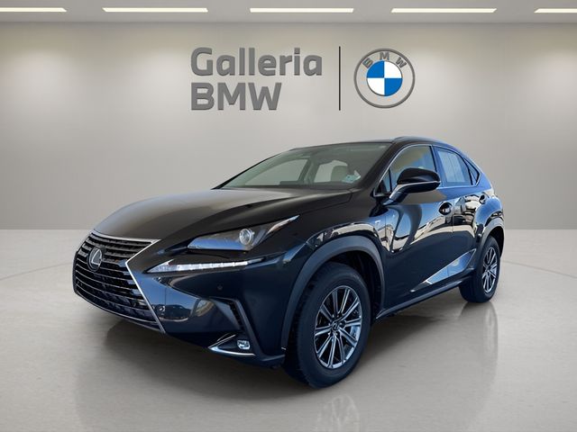 2020 Lexus NX 300's photo