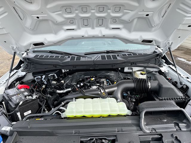 2025 Ford F-150 STX photo