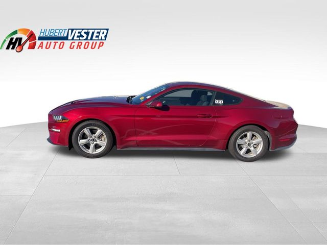 2019 Ford Mustang EcoBoost's photo