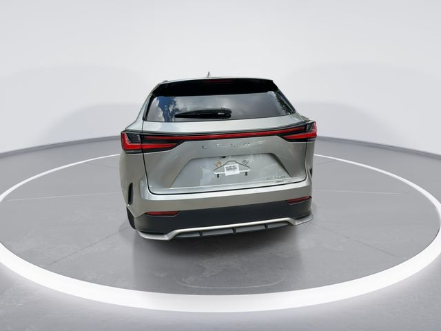 2024 Lexus NX - $43,898