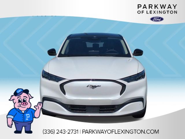 New 2026 White Ford Premium image 8
