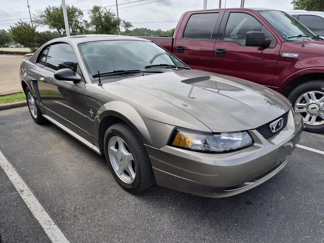 Gray 2001 Ford Mustang Coupe Rear-Wheel Drive 5-Speed Manual