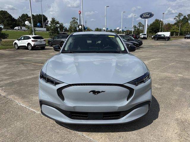 New 2026 Gray Ford Select image 2