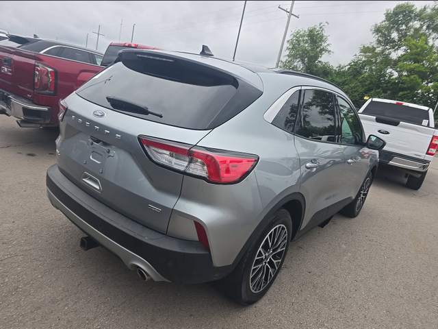 2022 Silver Metallic Ford Escape Plug-In Hybrid SEL FWD SUV