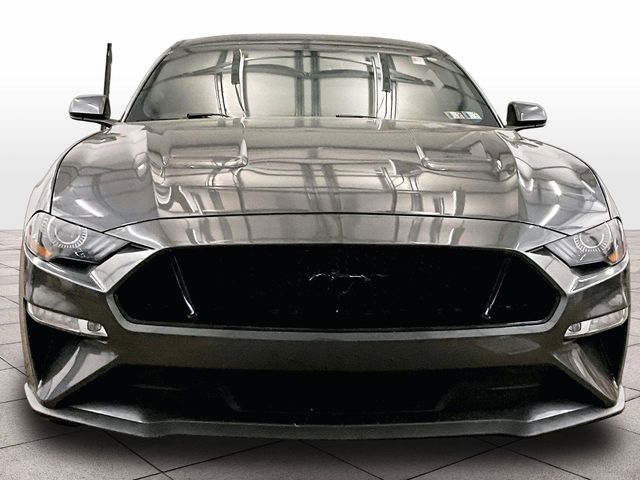 2019 Ford Mustang GT Gray at Grove City Ford