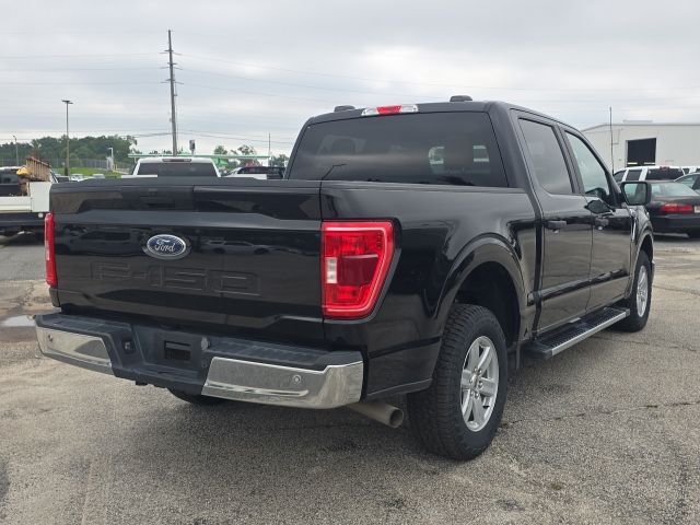 2023 Ford F-150 XLT:B02535