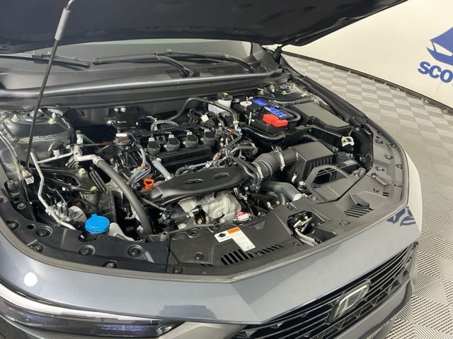 used 2025 Honda Accord car, priced at $28,295