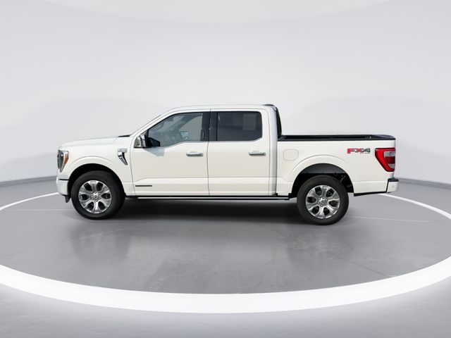 Used 2023 White Ford Platinum image 4