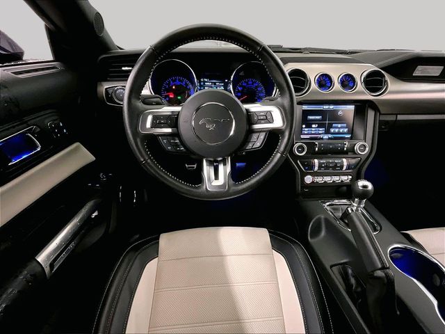 2015 Ford Mustang GT 50 Years Limited Edition Blue at Grove City Ford