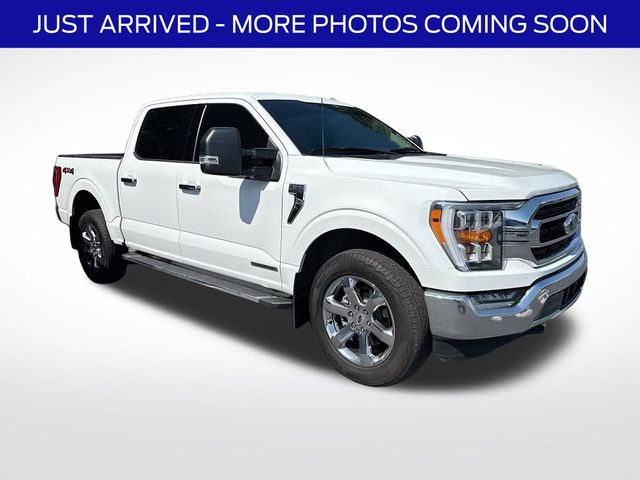 Oxford White 2023 Ford F-150 XLT SuperCrew 4WD Pickup Truck Four-Wheel Drive Automatic