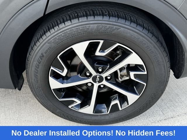 2025 Kia Sportage EX Gray at Texan Dodge Chrysler Jeep Ram
