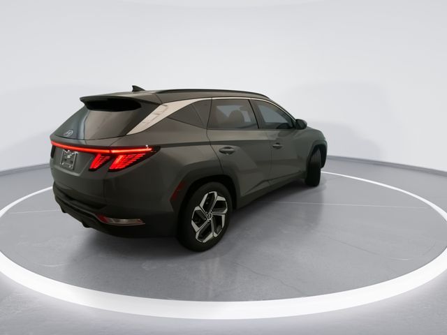 Used 2024 Gray Hyundai SEL image 4