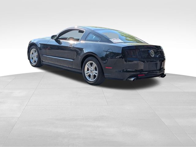 2014 Ford Mustang V6 photo