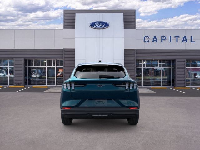 New 2026 Blue Ford Premium image 5