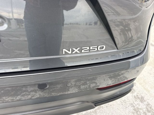 2024 Lexus TX - $39,588