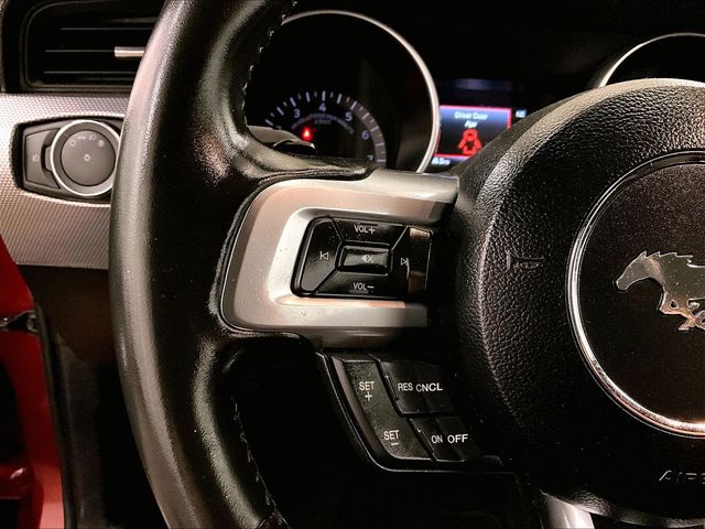 2019 Ford Mustang GT Red at Grove City Ford