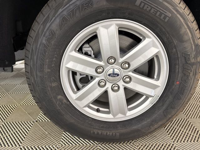 2025 Iconic Silver Metallic Ford F-150 XL 4X4 Truck