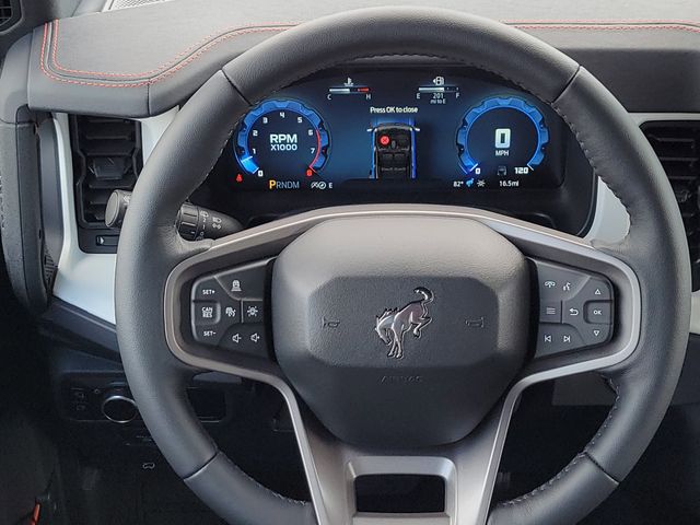 New 2025 White Ford Stroppe Edition image 13