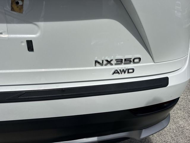 2024 Lexus NX - $44,898