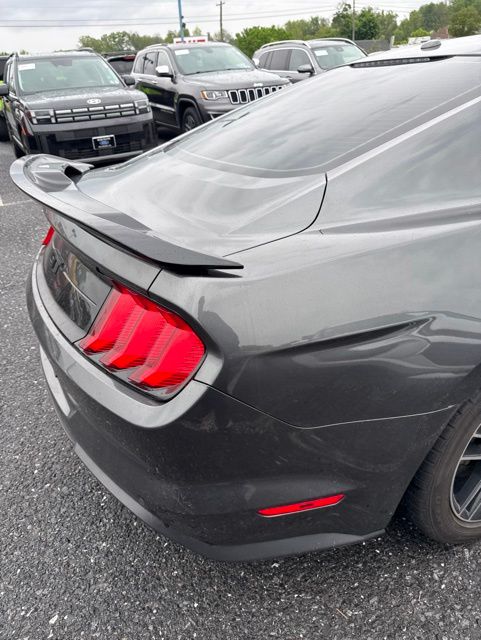 2019 Ford Mustang GT Gray at Grove City Ford
