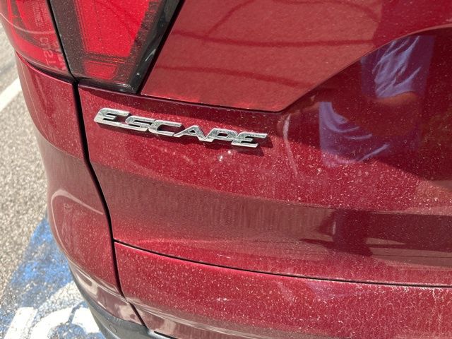 2019 Ford Escape Titanium Red at John Sisson Motors