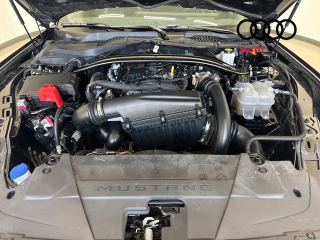 Used 2025 Black Ford EcoBoost Premium image 5