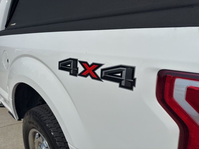 2020 Ford F-150 XL photo