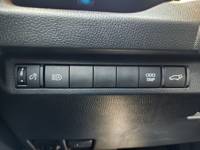 2024 Toyota RAV4 Limited Beige at Toyota of Victoria