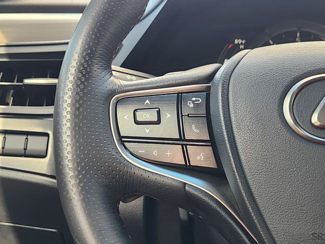 2022 Lexus ES 350 F Sport Gray at Westside Lexus