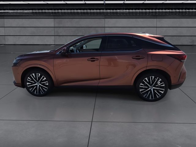 2025 Lexus RX