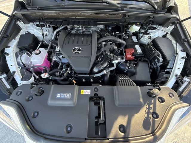 2025 Lexus NX - $47,998