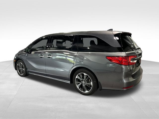 2024 Honda Odyssey Elite Gray at Stokes Honda North