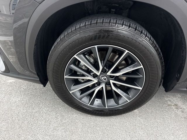 2025 Lexus NX - $41,998