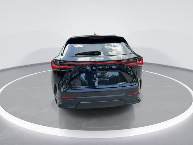 Used 2023 Lexus NX SUV