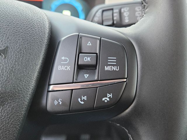 New 2025 Gray Ford Heritage image 25