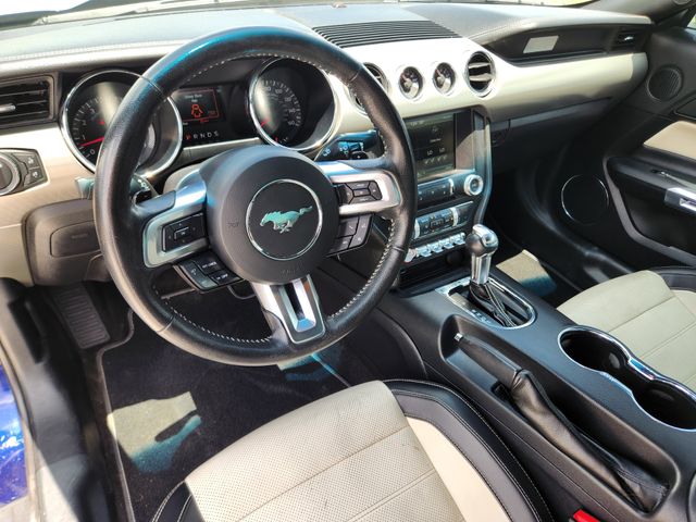 2015 Kona Blue Metallic Ford Mustang GT 50 Years Limited Edition RWD Coupe