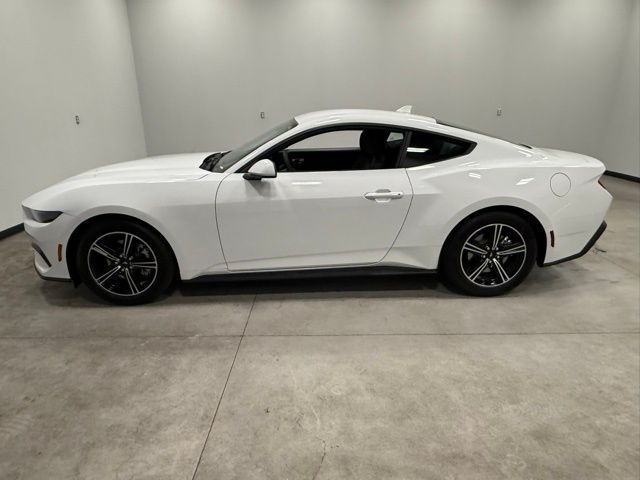 2025 Ford Mustang EcoBoost photo