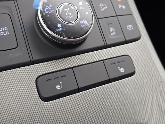 Palisade XRT