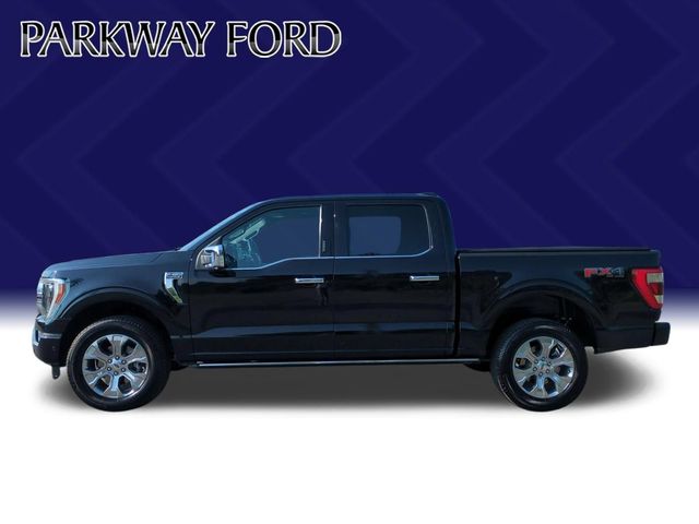Used 2023 Black Ford Platinum image 2