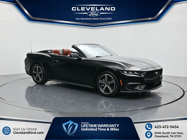 Shadow Black 2024 Ford Mustang Convertible Rear-Wheel Drive Automatic