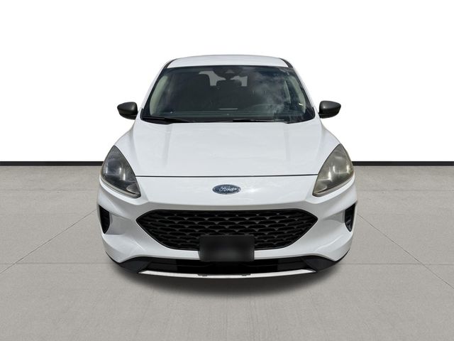 2020 Ford Escape S White at Emmons Autoplex