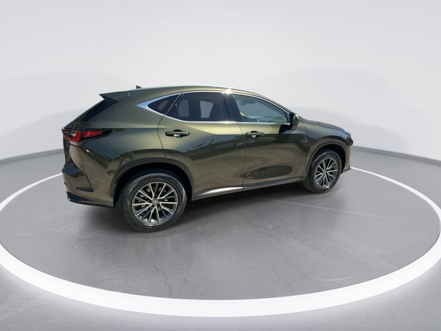2025 Lexus NX - $40,998