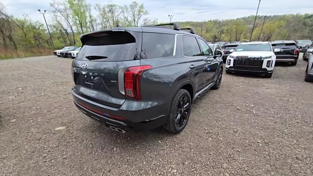 Palisade XRT