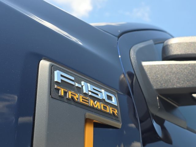 2025 Ford F-150 Tremor:B02534